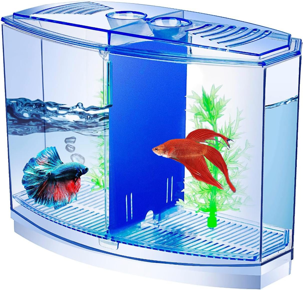 حوض سمكة فايتر